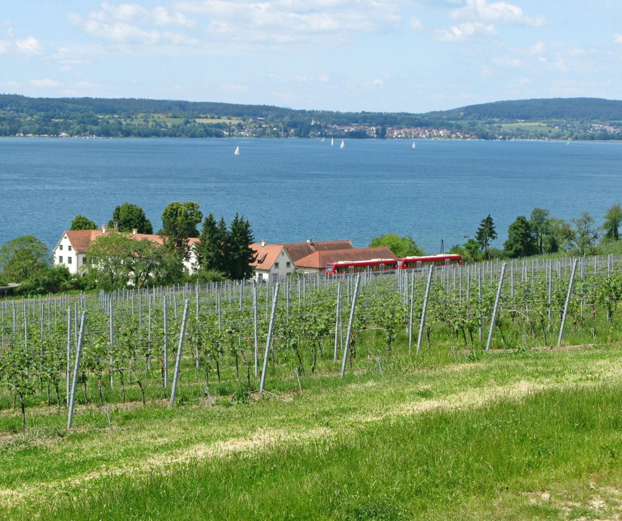 Ueberlinger Ferienidylle Lägenhet Uberlingen Exteriör bild